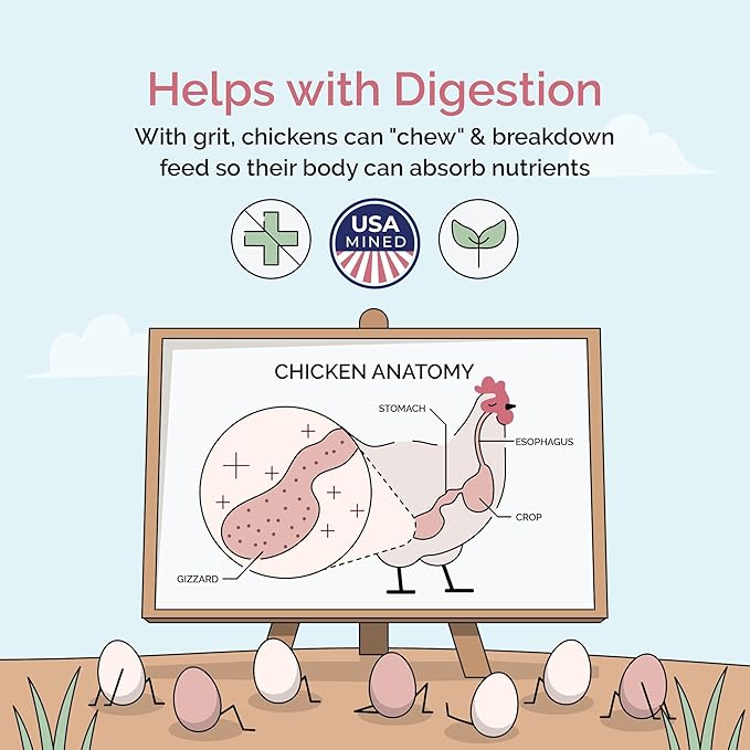 Mile Four Chick Grit for Baby Chicks - Chickens Age 0-8 Weeks, 100% Natural Mineral Chick Grit Quartzite, Poultry Grit Digestive Aid, USA Mined, 50 lb