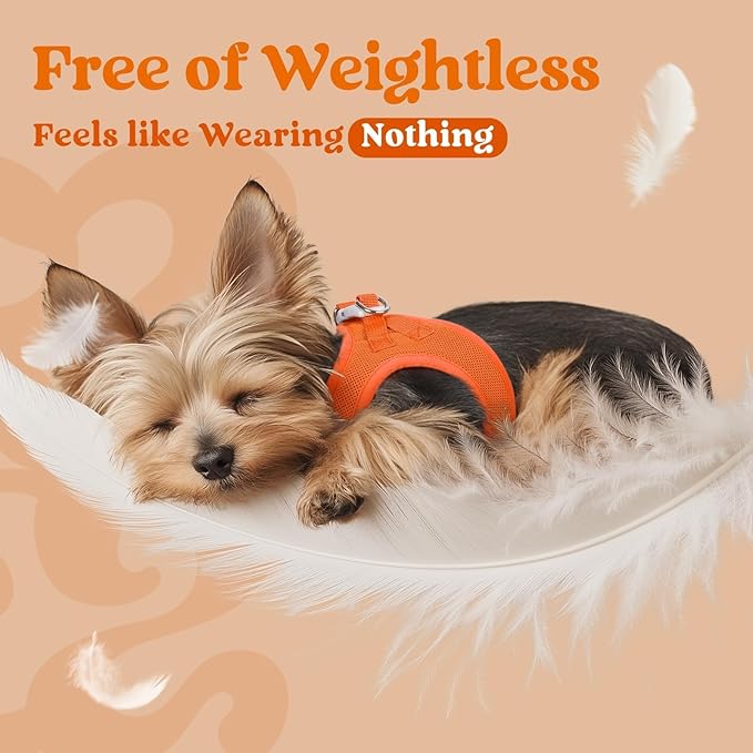 rabbitgoo Small Dog Harness, Step-in Soft Mesh Puppy Vest with Safety Buckle, Breathable Reflective Pet Harness for Small Sized Dogs, Orange XS