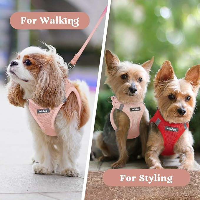 rabbitgoo Small Dog Harness, Step-in Soft Mesh Puppy Vest with Safety Buckle, Breathable Reflective Pet Harness for Extra Small Dogs, Pink XXXS