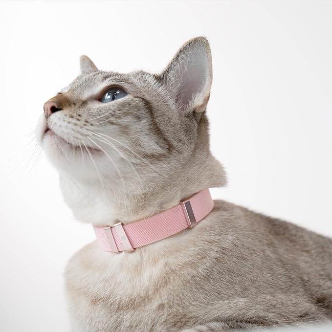 Safety Cat Collar - U.S. IDA Gold Awarding Design, Stretch Elastic Quick Release, Non Breakaway - Light Weight for Kitten, Neck Fit 5.9'-11.8' for All Small Large Cat,S(Linen)