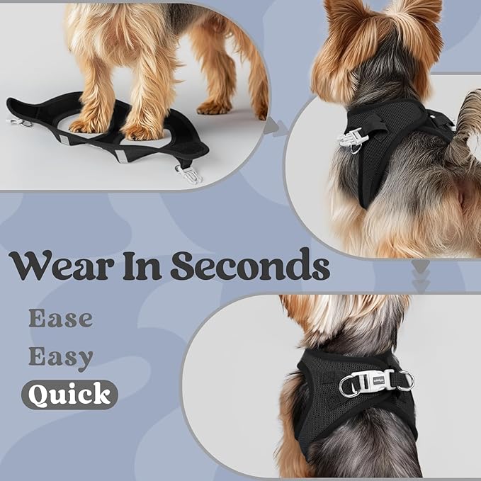 rabbitgoo Small Dog Harness, Step-in Soft Mesh Puppy Vest with Safety Buckle, Breathable Reflective Pet Harness for Extra Small Dogs, Black XXS
