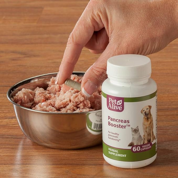 PetAlive Pancreas Booster - All Natural Herbal Supplement for Pancreatic Health and Digestive Functioning in Cats and Dogs - Supports Healthy Insulin Production - 60 Veggie Caps