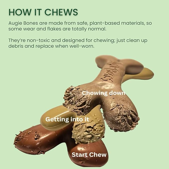 2-Pack Non-Toxic Dog Toys - Sustainable Roasted Peanut Butter Flavored Dog Chew Toys for Aggressive Chewers - Plant-Based Bioplastic Pet Toys - Made in The USA (Mini)
