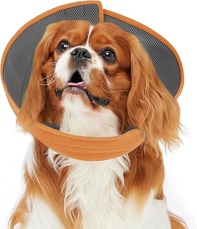 Inspack Soft Dog Cone Collar Alternative, E Cones for Small Dogs/Cat/Puppy to Stop Licking after Surgery, Comfortable All Paws Comfy Elizabethan Collars, Neuter Recovery Ecollars of Shame Alternatives