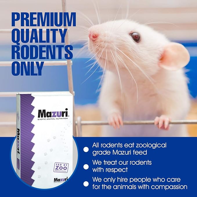 MiceDirect- 50 Rat Weanlings- Fresh Fast Frozen Food Feeders for SubAdult Ball Python Red Tail Boa Monitor Lizard Birds of Prey Pet Reptiles