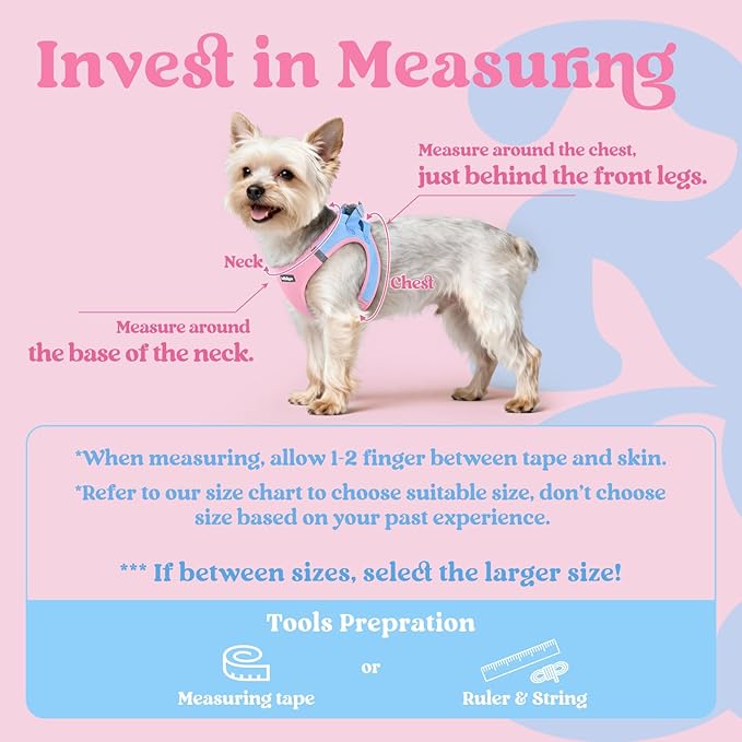 rabbitgoo Small Dog Harness, Step-in Soft Mesh Puppy Vest with Safety Buckle, Breathable Reflective Pet Harness for Small Sized Dogs, Blue & Light Pink XS