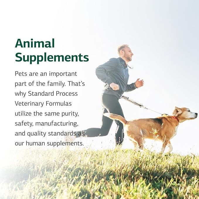 Standard Process Inc. Canine Cardiac Support - Dog Heart Health Supplement - Nutritional Formula to Support Cardiac Function - Pet Health Supplement with Selenium - 100 g