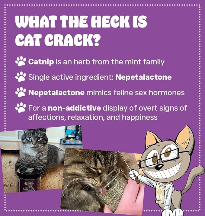 Cat Crack Organic Catnip, 100% Natural Cat Nips Organic Blend That Energizes and Excites Cats, Safe Catnip Treats Used for Cat Play, Cat Training, & New Organic Catnip Toys for Cats(1 Gallon Organic)