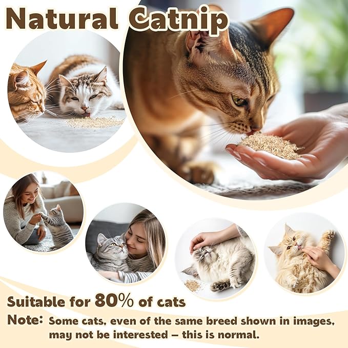 80PCS Catnip - Cat Nip for Cats Natural Dried Catnip Treats Premium Cat Nip Perfect for Toys, Training Rewards, Stress Relief, Freshly Harvested Bag Bulk Pack,2.8OZ