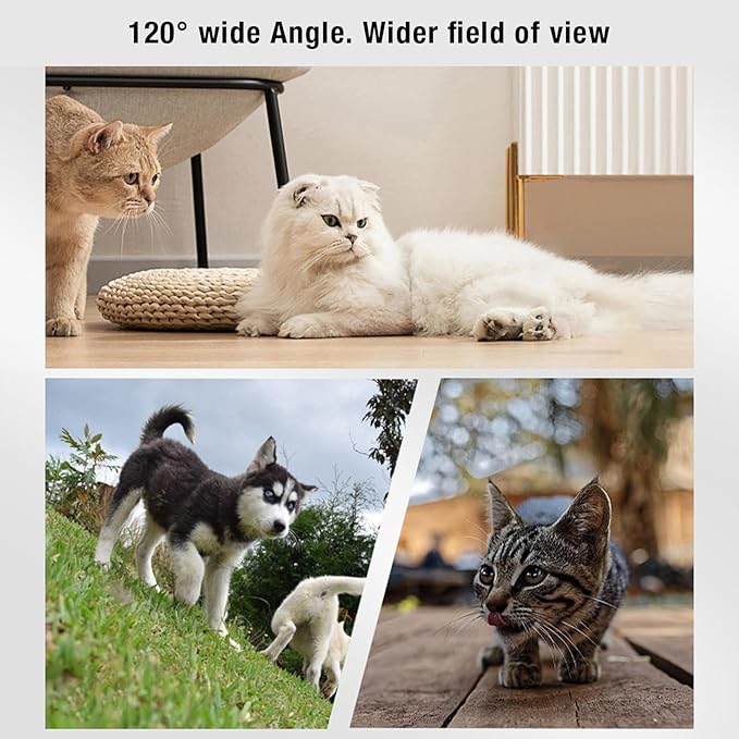 1080P HD Pet Collar Camera, 120 Super Wide Angle OTG Connection Lightweight Wireless Small Pet Sport Camera with Back Clip, Video Record & Take Photos manually for Dogs Cat (Black)