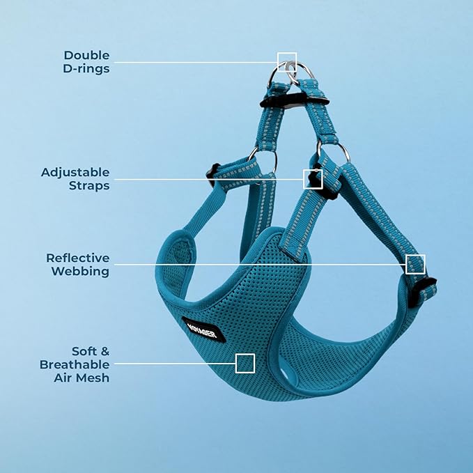 Best Pet Supplies Voyager Adjustable Step-in Flex Breathable Mesh Dog Harness for Small Medium Large Dogs (Turquoise), M