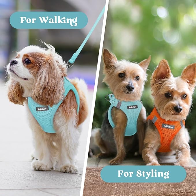 rabbitgoo Small Dog Harness, Step-in Soft Mesh Puppy Vest with Safety Buckle, Breathable Reflective Pet Harness for Small Sized Dogs, Mint Blue S
