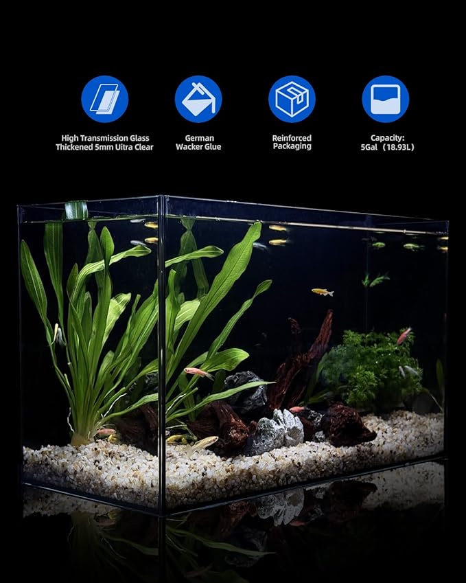 5 Gallon Clear Glass Fish Tank, Easy to Maintain Small Aquariumfor Betta, Goldfish, Snail,Shrimp and Aquatic Planting