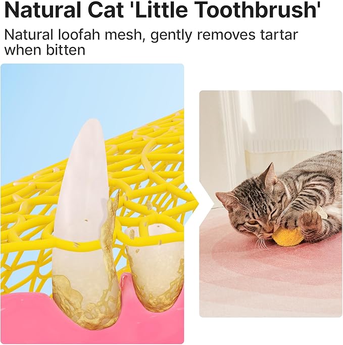 Potaroma Loofah Cat Chew Toys with Catnip and Silvervine, 3PCS Interactive Kitten Loofa Dental Teething and Biting Catnip Toys for Cat's Dental Cleaning, 3.2 Inches
