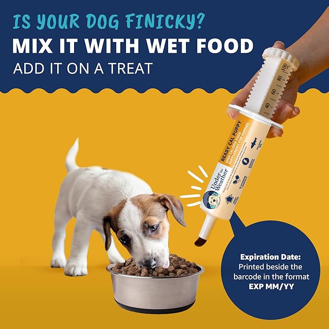 Under the Weather Pet | Ready Cal for Puppies 80cc | High Calorie Puppy Nutritional Supplement | Puppy Weight Gainer and High Calorie Booster | 10 Vitamins, 7 Minerals & Omega Fatty Acids