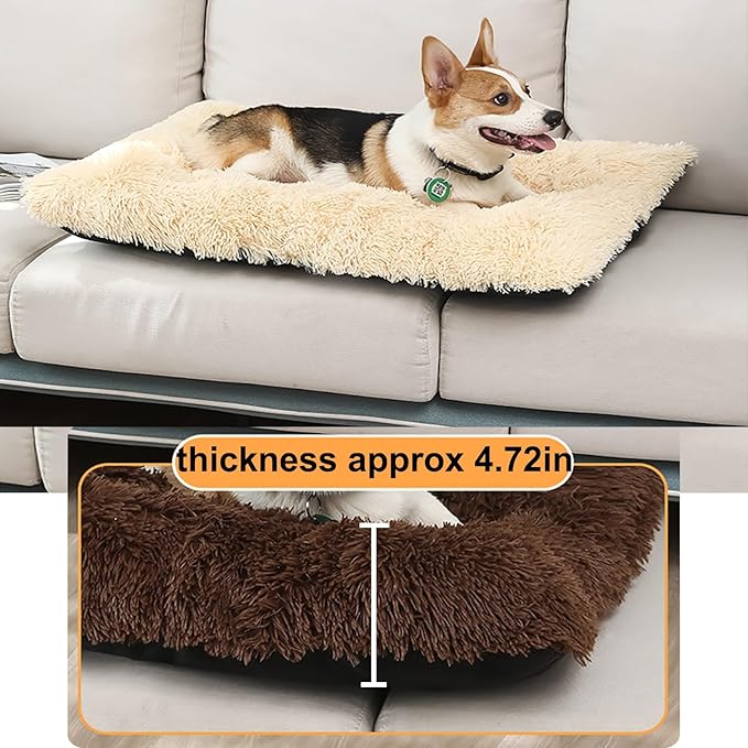Dog Crate Mat, Dog Bed for Large Dogs, Comfy Fluffy Kennel Pad Anti-Slip for Dog beds & Furniture, Quilted Dog Bed for Pets for Medium/Small Dogs Cats (Color : Apricot, Size : 16.9x11)