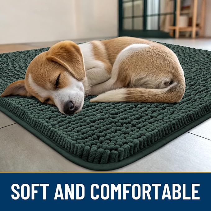 Smiry Dog Door Mat for Muddy Paws 30x20, Absorbs Moisture and Dirt Doormat, Non-Slip Washable Quick Dry Chenille Front Door Mat Indoor Entrance, Entryway Carpet for Inside Floor, Green