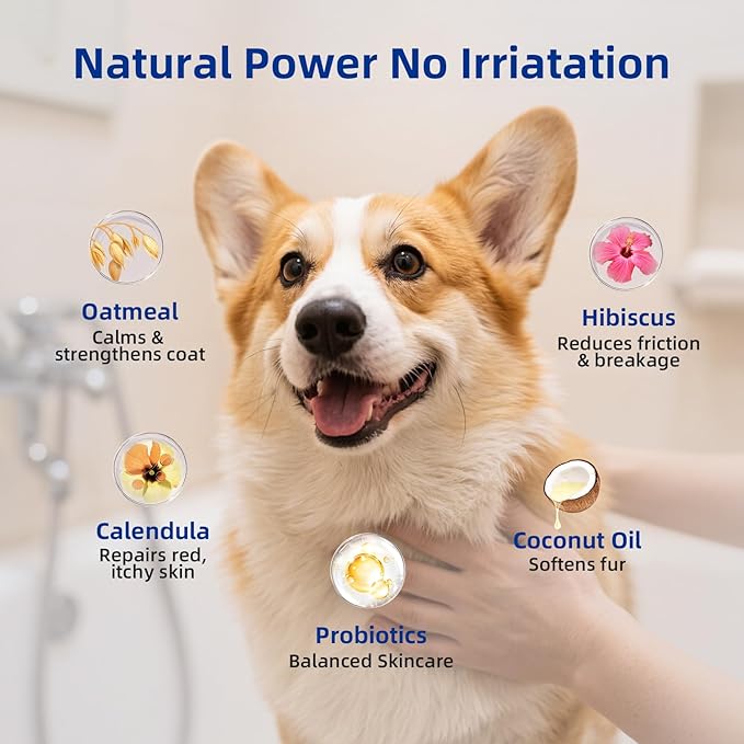 Unipaws Probiotic Short-Haired Dog Conditioner – Degreasing, Soothing & Anti-Shedding for Red, Itchy Skin, Vegan Calendula, Coconut & Oatmeal – EWG Green & Medicated, Made in Korea, 16.9 Fl Oz