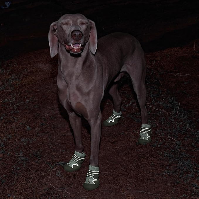 Dog Shoes, Waterproof Dog Boots & Paw Protectors with Anti-Slip Sole, 4pcs/Set Pet Dog Booties, Reflective Dog Shoes for Small Medium Large, Winter Snowy Summer Hot Pavement (Green, 8# (2XL))