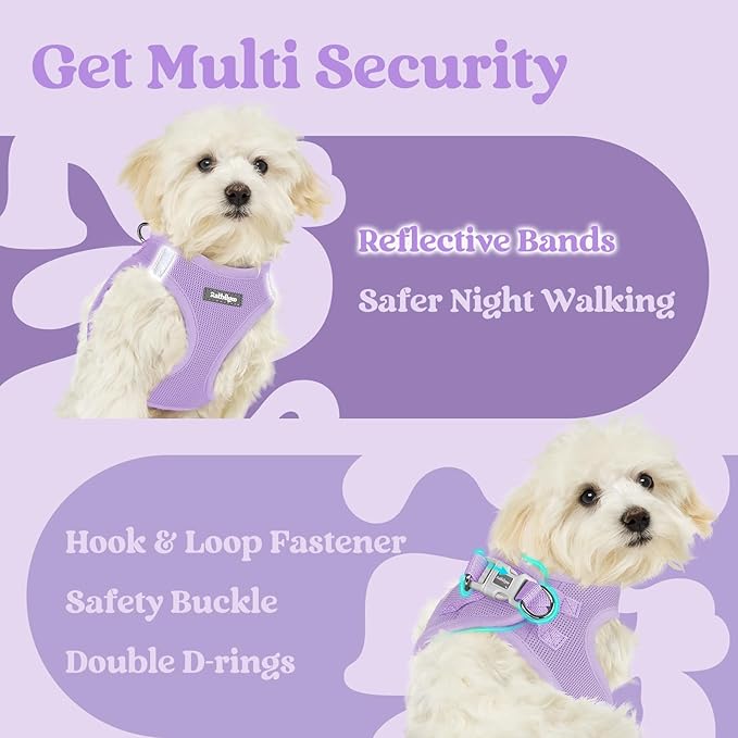 rabbitgoo Small Dog Harness, Step-in Soft Mesh Puppy Vest with Safety Buckle, Breathable Reflective Pet Harness for Extra Small Dogs, Light Purple XXXS