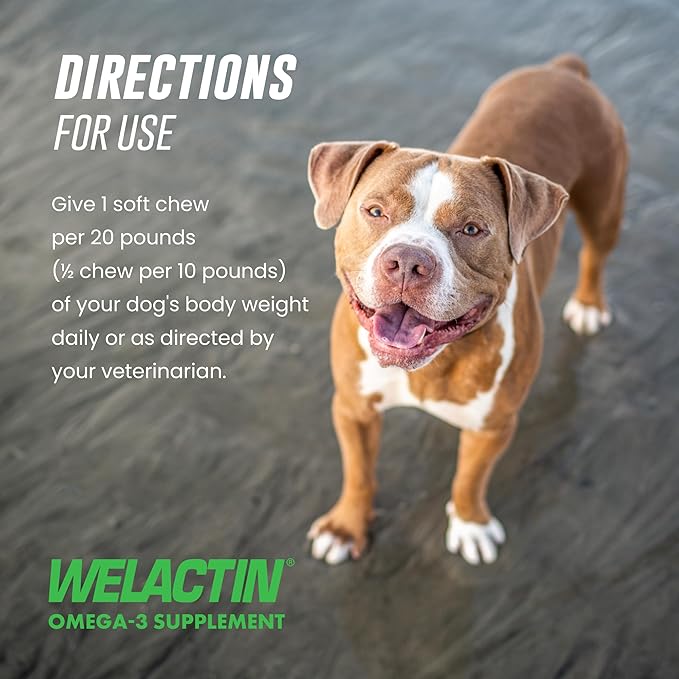 Nutramax Welactin Omega 3 Fish Oil for Dogs, Skin and Coat Health Supplement, Plus Immune and Overall Health, Premium Omega 3 Fatty Acids, Multivitamin For Dogs, Soft Chews, 60 Count