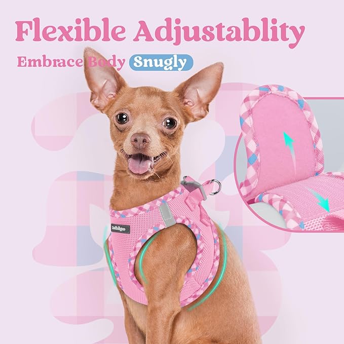 rabbitgoo Small Dog Harness, Step-in Soft Mesh Puppy Vest with Safety Buckle, Breathable Reflective Pet Harness for Small Sized Dogs, Pink & Plaid Trim XS