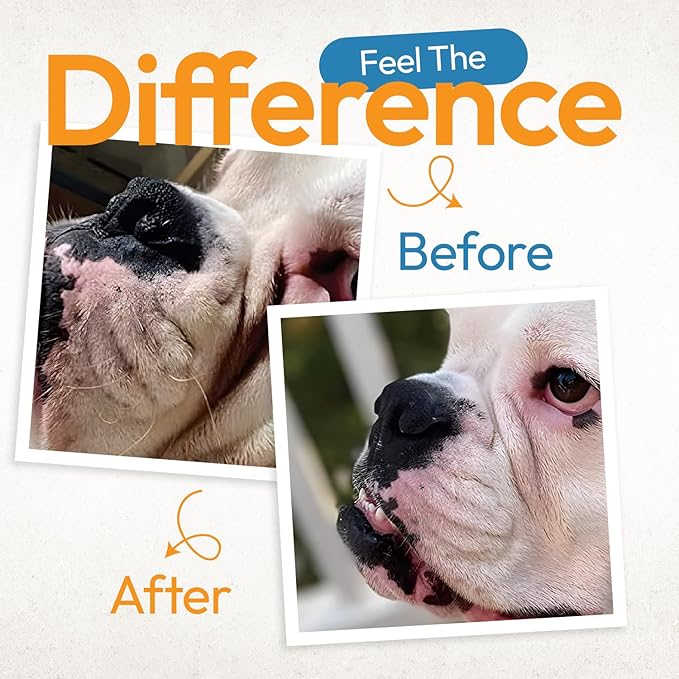 Bulldog Wrinkle Wipes for Dogs – Deodorizing & Soothing with Honeysuckle Extract – Non-Irritating, Cleans Wrinkles, Folds, Paws & Tail Pockets – for Bulldogs, Pugs & Frenchies (100 Count)