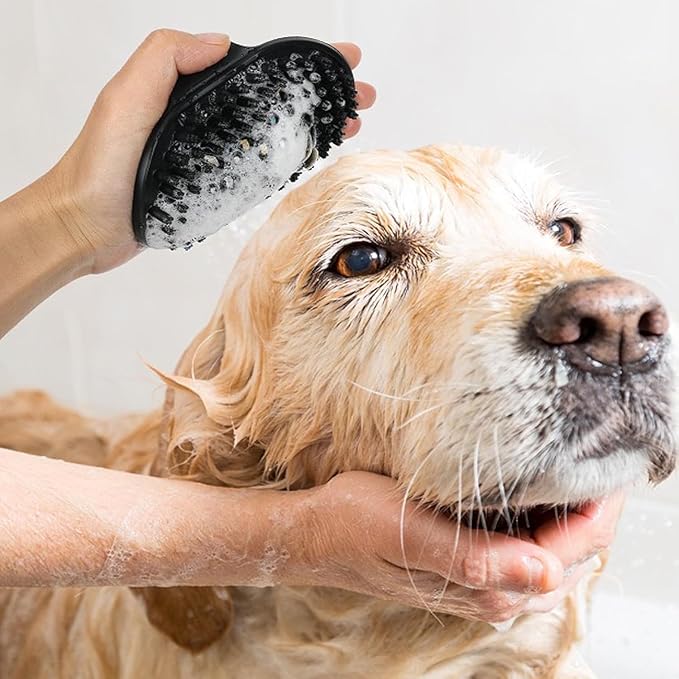 Dog Brush Kit for Grooming Short & Long Haired Dogs & Cats, 4-in-1 Pet Grooming Set with Self-Cleaning Slicker Brush, Deshedding Tool, Shampoo Bath Comb, Massge Comb (Blue Black)