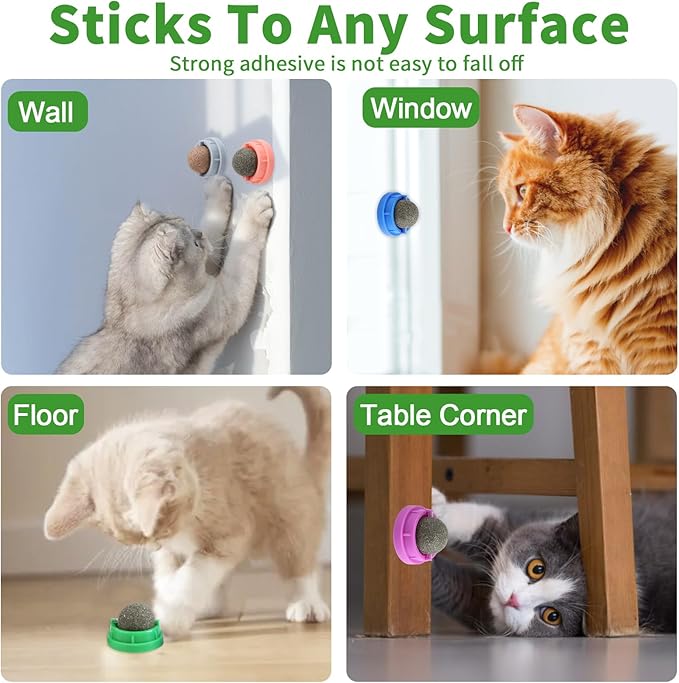 CCINEE 6PCS Catnip Balls for Cats Wall Catnip Toys Edible Cat Toys for Cat Lick Safe Healthy Kitten Chew Toys Teeth Cleaning Dental Cat Toys