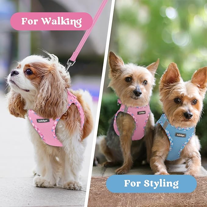 rabbitgoo Small Dog Harness, Step-in Soft Mesh Puppy Vest with Safety Buckle, Breathable Reflective Pet Harness for Small Sized Dogs, Pink & Plaid Trim XS