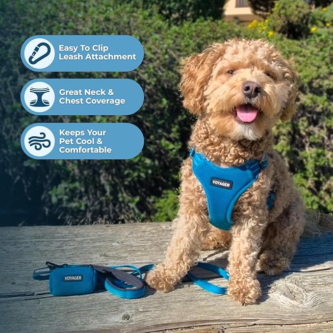 Best Pet Supplies Voyager Adjustable Step-in Flex Breathable Mesh Dog Harness for Small Medium Large Dogs Leash Set (Turquoise), XS