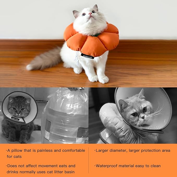 Cute Waterproof Cat Recovery Collar - Anti-Bite Lick Wound Healing Safety Elizabethan Collar - Orange Pumpkin Cat Halloween Costume