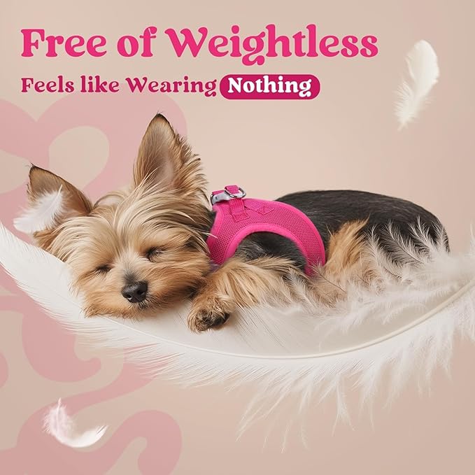 rabbitgoo Small Dog Harness, Step-in Soft Mesh Puppy Vest with Safety Buckle, Breathable Reflective Pet Harness for Small Sized Dogs, Rose Red S