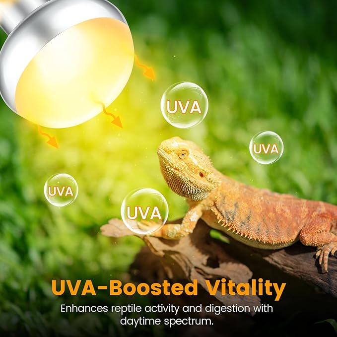 Dual Reptile Light Fixture with 100W Daytime Heat Bulb & 100W Nighttime Ceramic Heat Emitter, 2 Independent Switches, Reptile Heat Lamp Combo Pack - No UVB