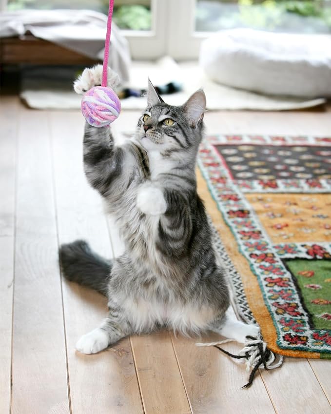 PET SHOW 10 Pack Cat Toys - Woolen Yarn Cat Balls, Interactive Mesh Feather Ball, String Toy for Indoor Cats, Chase Training Activity for Kittens