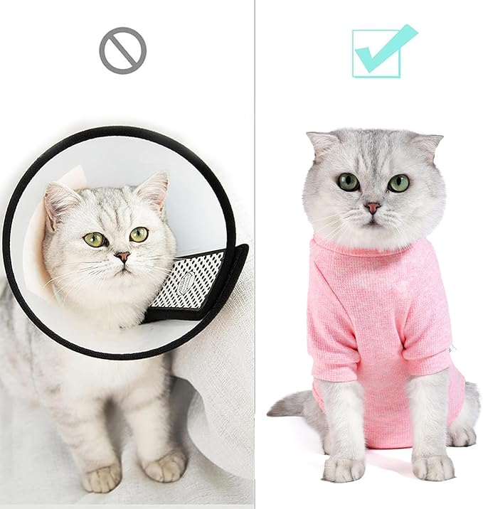 Dotoner Cat Surgery Recovery Suit for Female Male Anti-Licking Pet Surgical Pajamas Long Sleeve Prevent Shedding Cat Spay Recovery Suit&E Collar Alternative Bodysuit for Cats