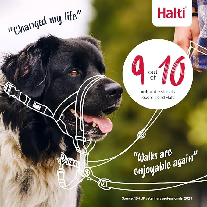 Halti Headcollar - Stop Your Dog Pulling on The Leash. Adjustable, Reflective and Lightweight, with Padded Nose Band. Dog Training Anti-Pull Collar for Medium Dogs (Size 2, Forest Green)