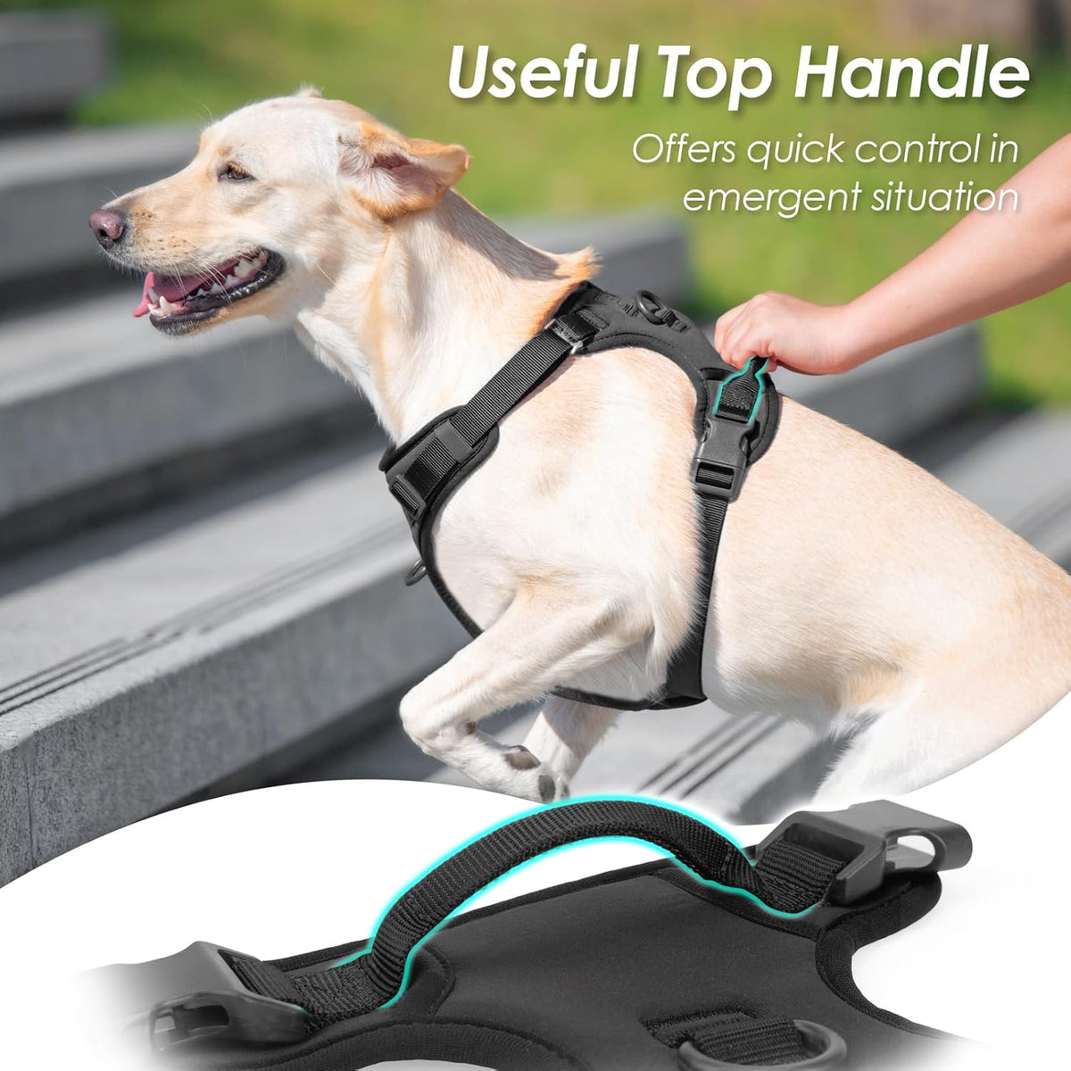 No Pull Dog Harness, Puppy Vest with Front Clip for Small Medium Large Sized Dog(Black,M)