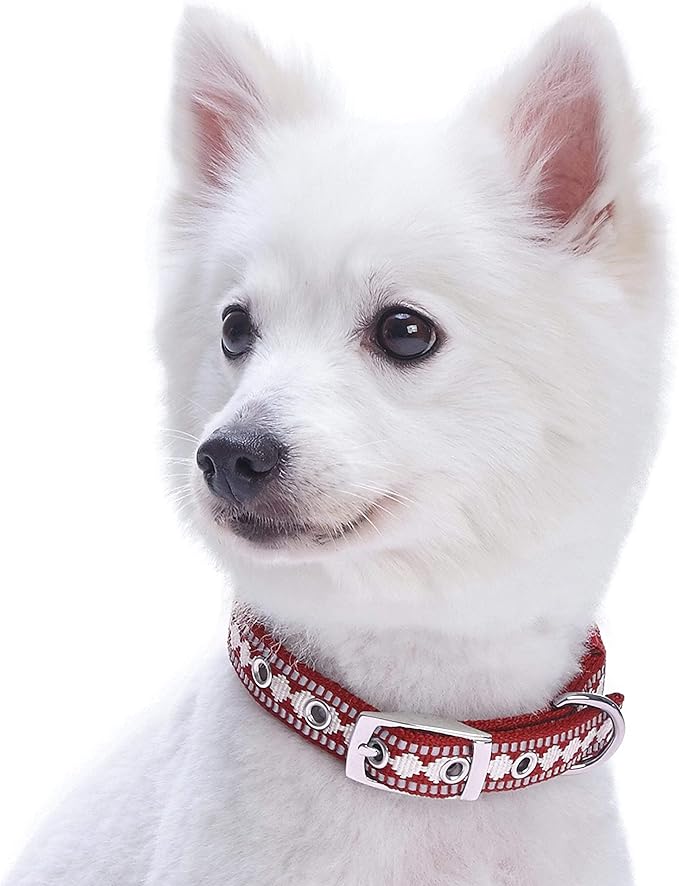 Blueberry Pet Reflective Jacquard Dog Collar with Neoprene Padding & Metal Buckle | Soft & Adjustable Safety Collar - Marsala Red, Neck 13-16.5", for Medium Breed