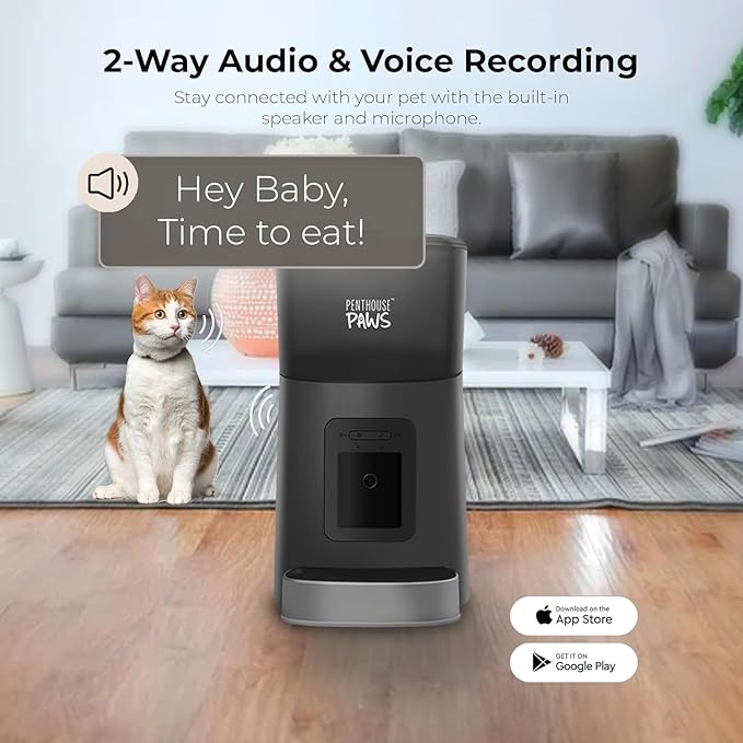 Smart HD Cat Feeder, 2 Way Audio + Voice Recording, Automatic Feeder for Dog with 1080p Night Vision Camera, WiFi App Controlled, Battery Backup, Anti Jam 6L Upto 15 Daily Meals, Black Stainless
