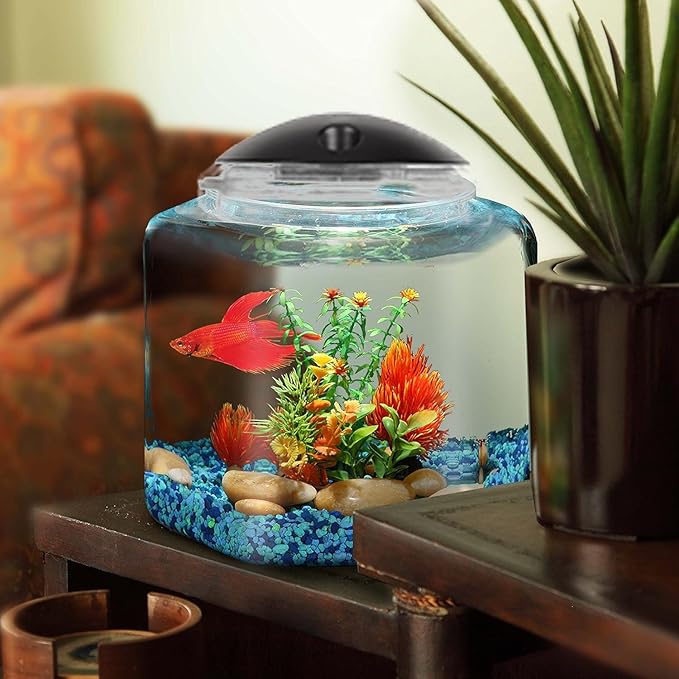 Koller Products 1 Gallon Hex BettaTank - LED Lighting