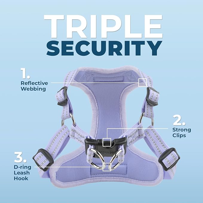 Best Pet Supplies Voyager Adjustable Step-in Flex Breathable Mesh Dog Harness for Small Medium Large Dogs (Lavender), S