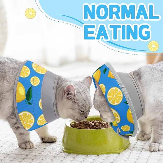 Cat Cone Collar Soft, Comfortable Cat Recovery Collar Pet Cone for Small Large Cats, Lightweight Elizabethan Collar for Cats Kittens After Surgery Prevent from Licking Wounds, Green, S