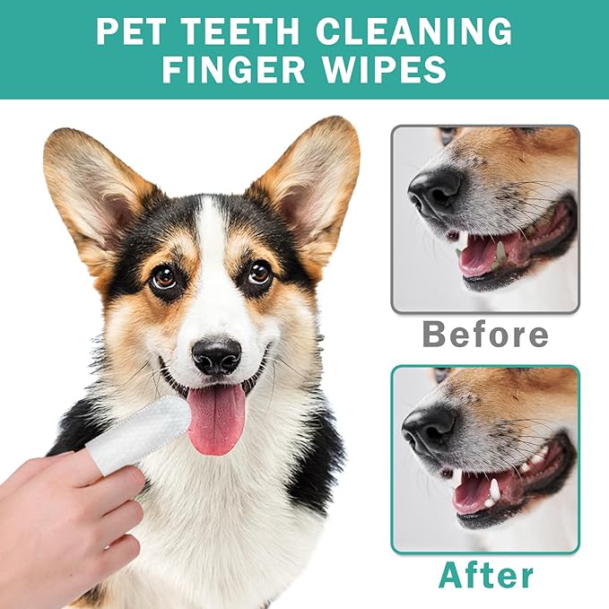 Portable Dog Teeth Dental Finger Wipes for Dogs & Cats No-Rinse Dog Finger Toothbrush Dog Plaque & Tartar Prevention with Brushing Beads Dog Breath Freshene 20pcs