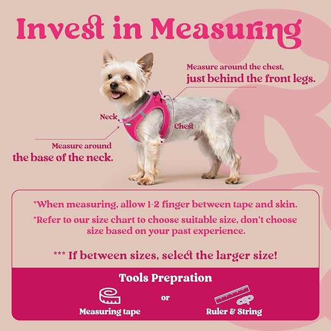 rabbitgoo Small Dog Harness, Step-in Soft Mesh Puppy Vest with Safety Buckle, Breathable Reflective Pet Harness for Small Sized Dogs, Rose Red XS