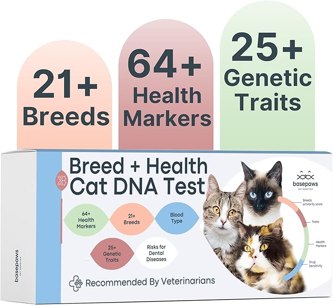 Basepaws Cat DNA Test Kit - Comprehensive Breed, Health and Dental Analysis Across 114 Traits for Accurate and Easy-to-Use Genetic Insights