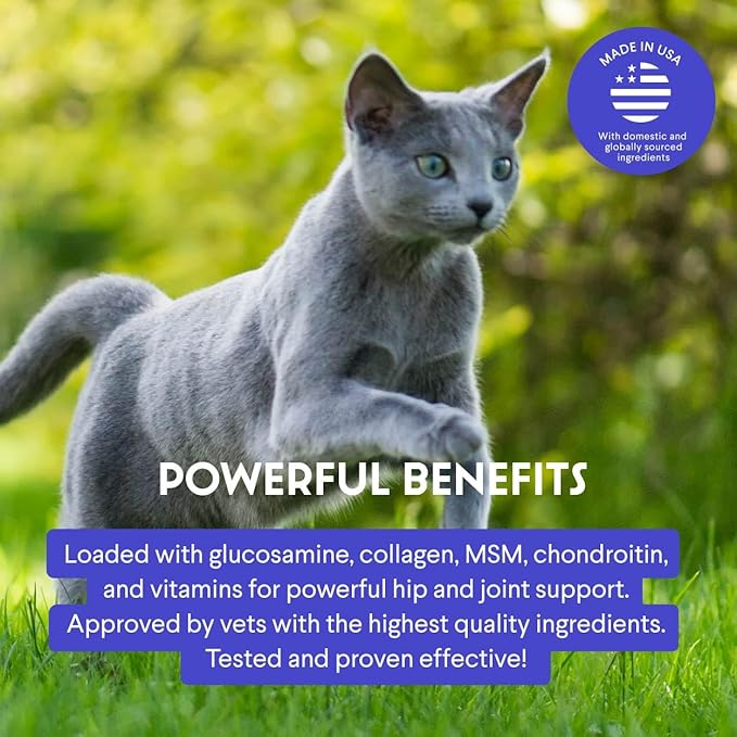 Premium Liquid Glucosamine for Cats – with Collagen, Glucosamine, Chondroitin, MSM, Taurine & Hyaluronic Acid – Cat Joint Support, Mobility & Flexibility - Hip & Joint Cat Supplement – 2oz