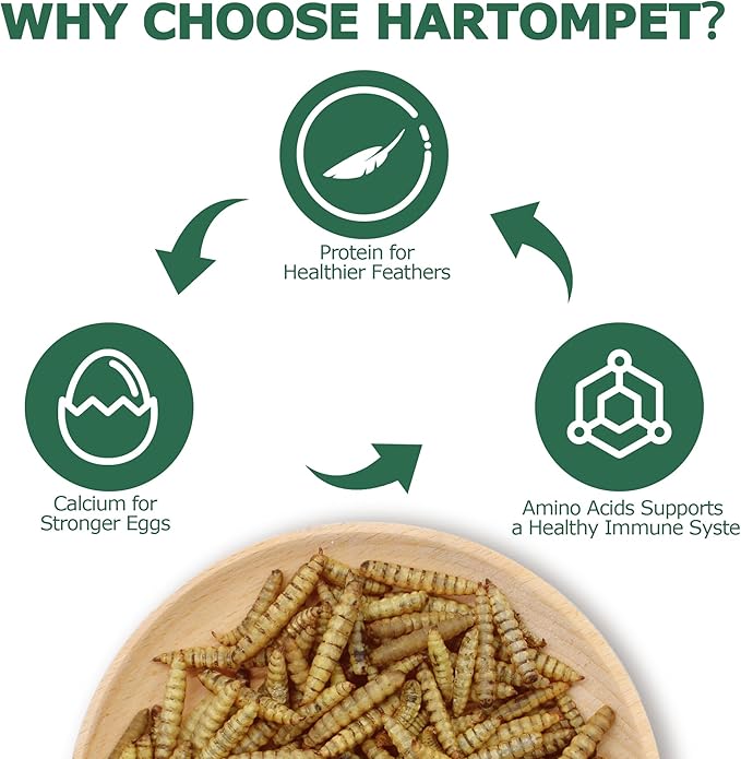 Dried BSF Larvae for Chickens - Non-GMO Poultry Feed Supplement, 85X More Calcium Than Mealworms, 10LB Grub Worms Perfect for Molting & Laying Hens, Ducks, and Wild Birds