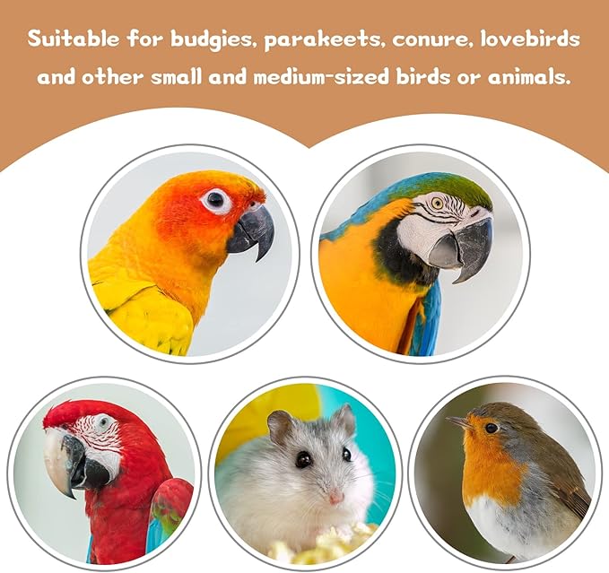 18 PCS Bird Perches Stand Toy, Natural Wood Parrot Perch Stand Bird Cage Branches Platform Accessories for Parakeets Cockatiels Conures Macaws Finches Love Birds