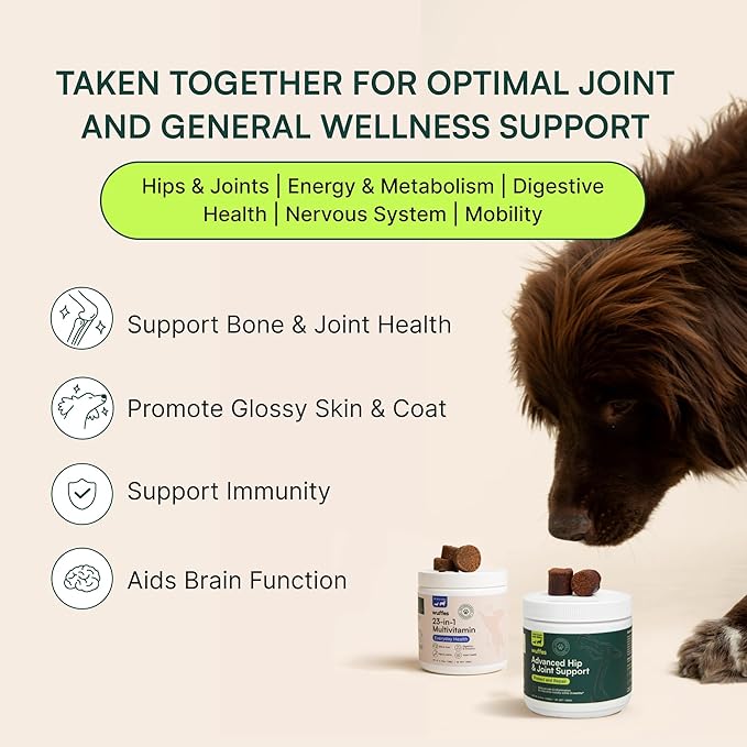 Wuffes Hip and Joint Supplement for Large Breeds and 23-in-1 Multivitamin Bundle